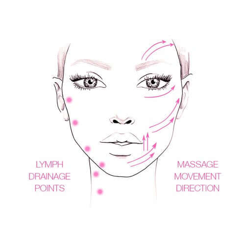 Understanding the Lymphatic System