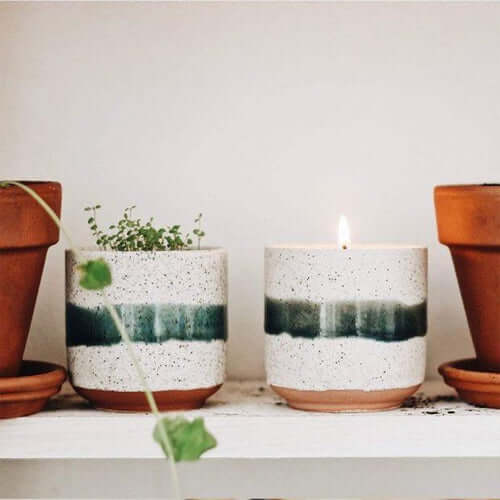 Plantez des graines pour célébrer l'équinoxe de printemps - West London Living