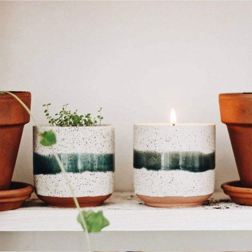 Zasadź kilka nasion, aby uczcić wiosenną równonoc – West London Living