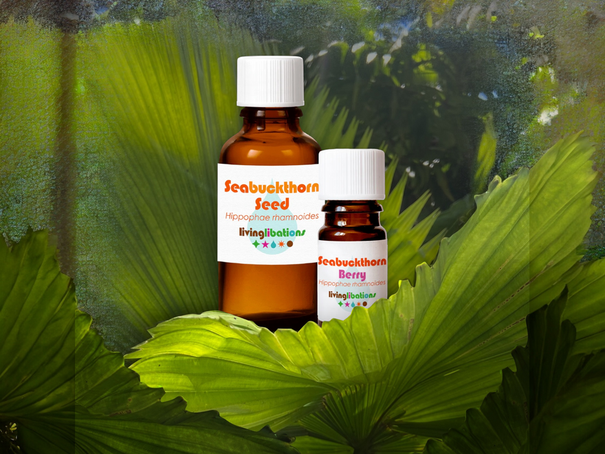 Using Essential Oils Made Easy