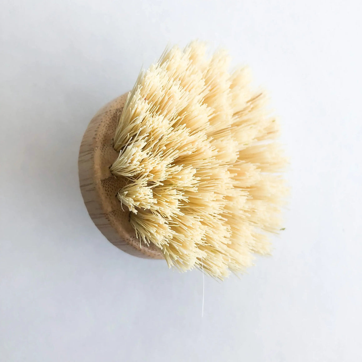 Wooden dish brush with natural bristles on a white background