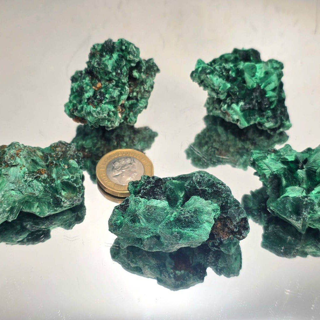 Four green mineral specimens on a reflective surface with a coin for scale.