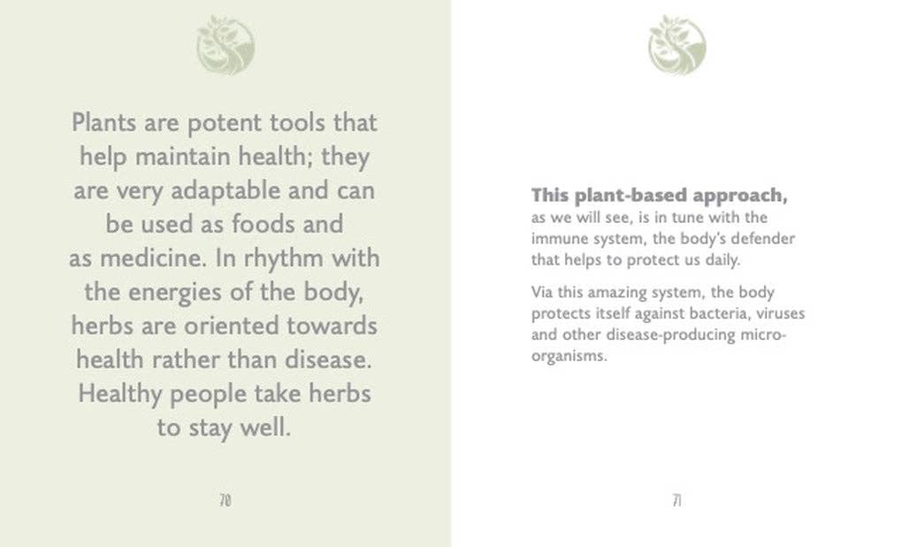 The Little Book of Herbalism and Natural Healing by Marlene Houghton (Hardback)