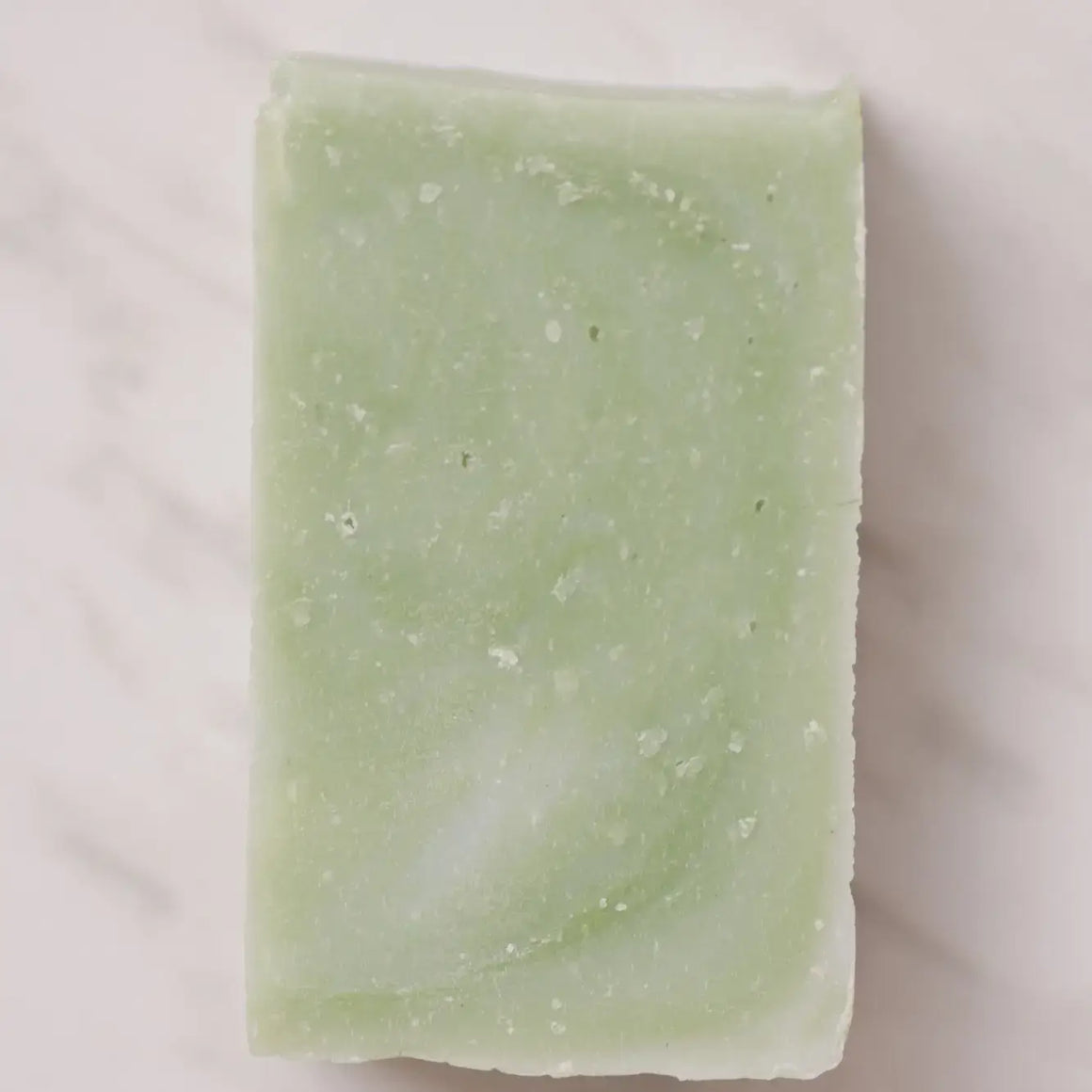 Moisturizing Vegan Body Wash - Aloe & Coconut Milk - No Tox Life