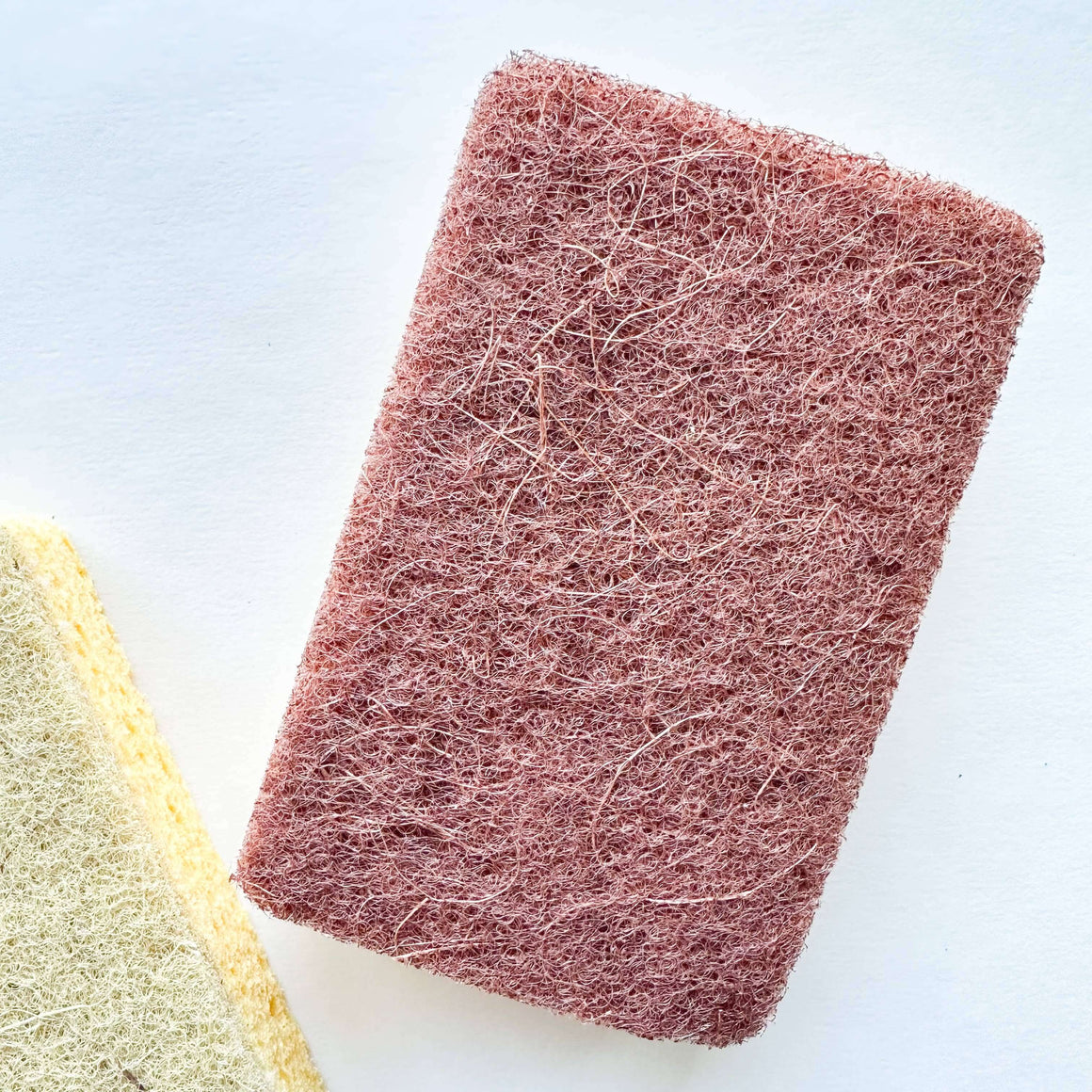 Two sponges, one red and one yellow, on a white background