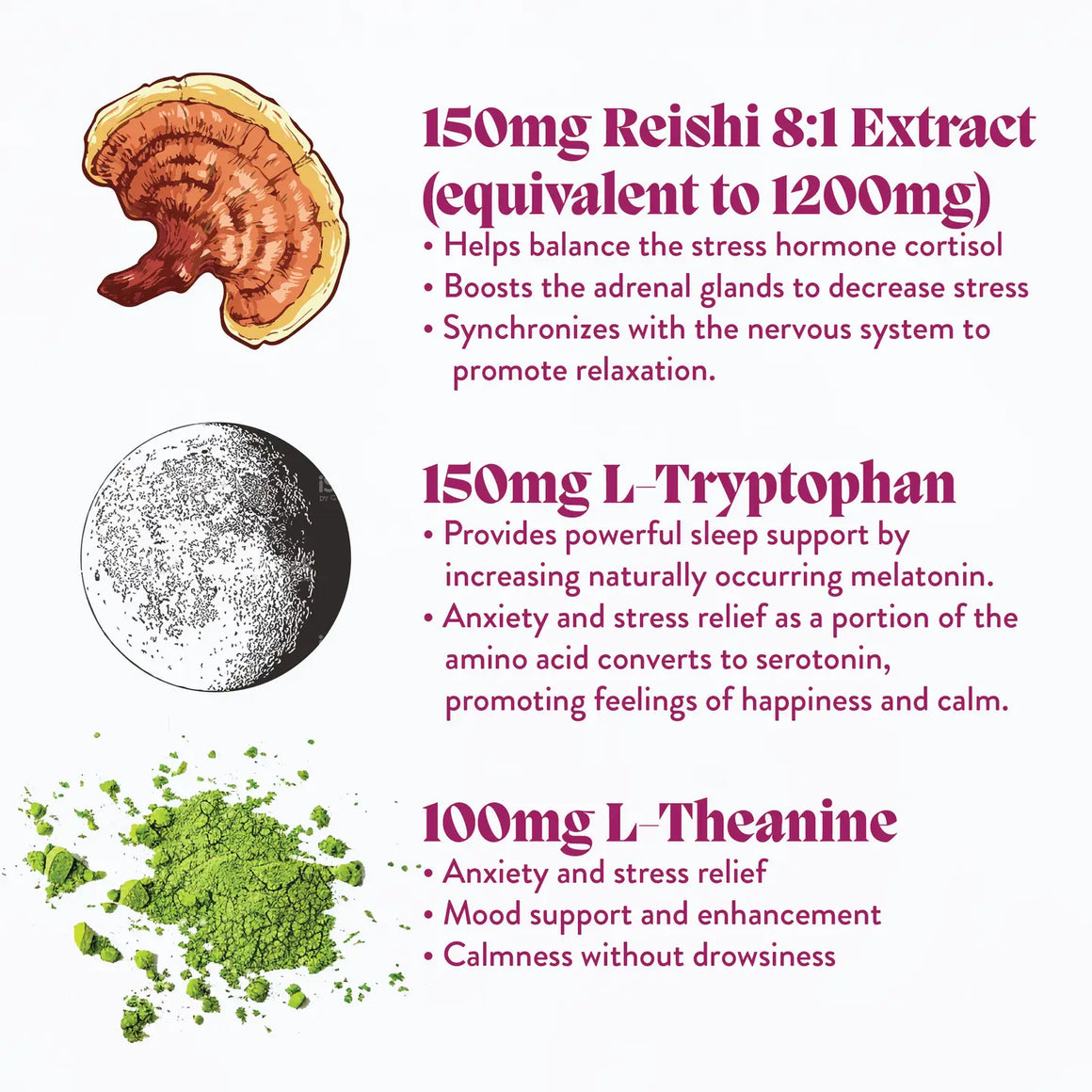 Hibernate Mushroom Gummies –  Microjoy