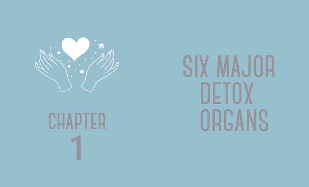 The Little Book of Detox by Sonia Jones (Hardback)