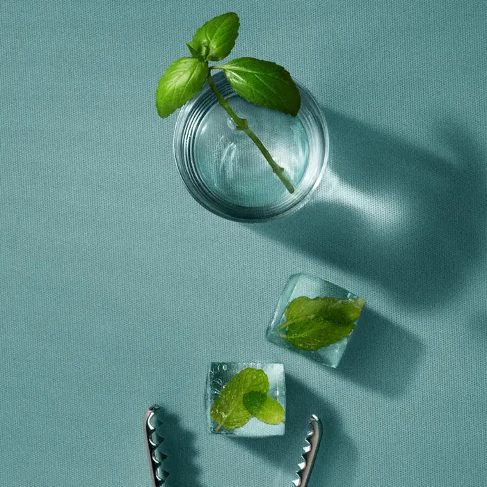 Extra Strength Deodorant - Basil Mint