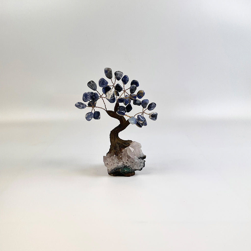 Sodalite Gemstone Tree 5" - Handmade by Brazil Gems