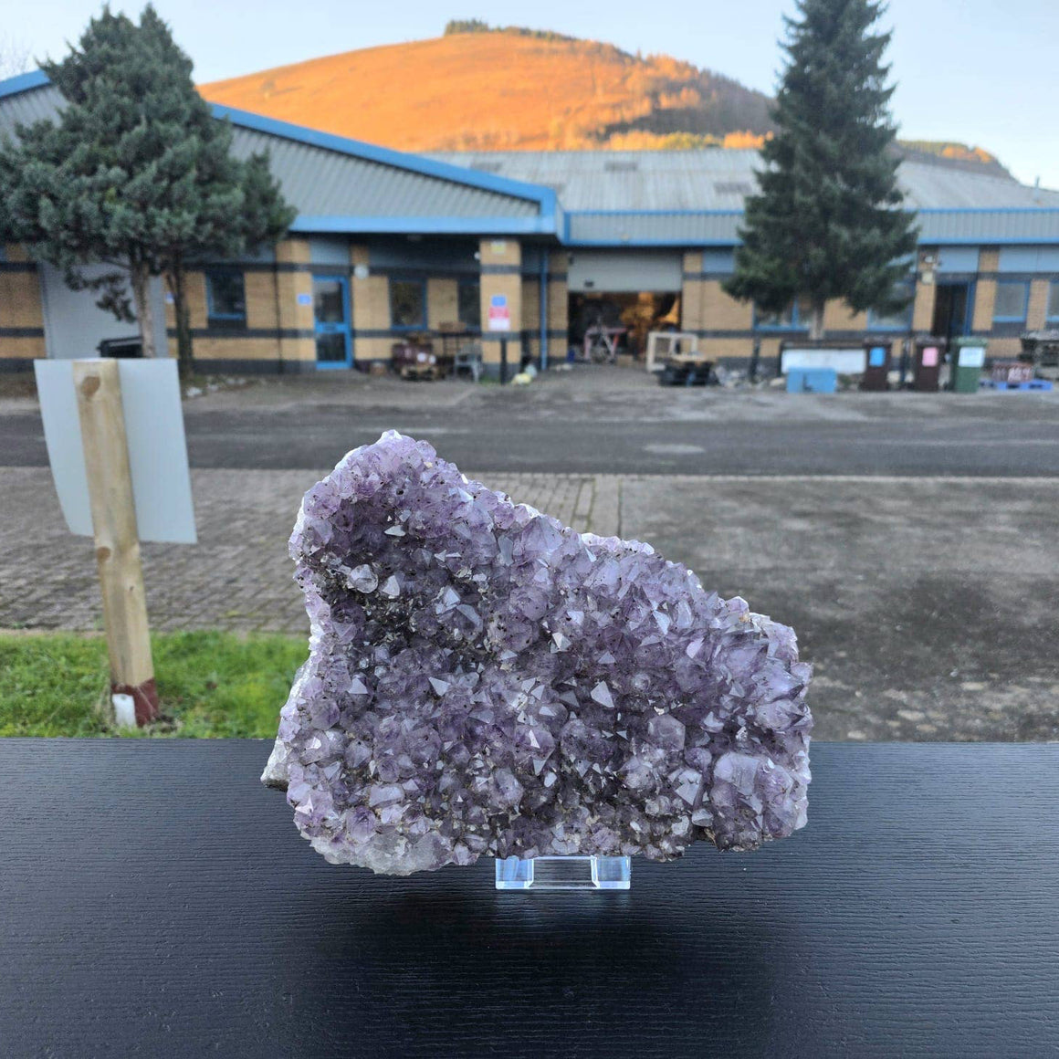 Amethyst crystal on a stand with a building and trees in the background