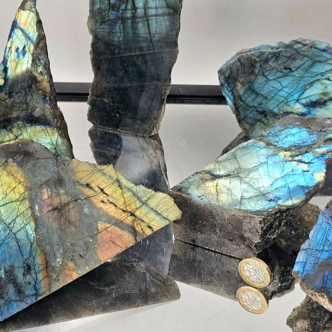 Multicolored labradorite crystal with two gold coins on a reflective surface