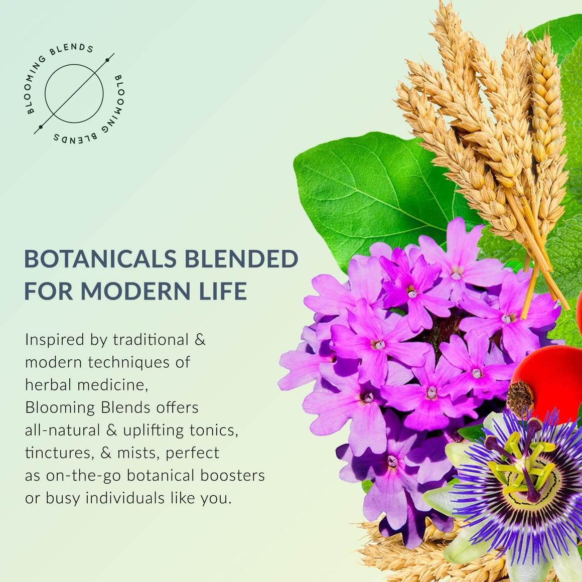 Happy Herbal Tincture 30ml - Blooming Blends-Live in the Light Naturally Ltd