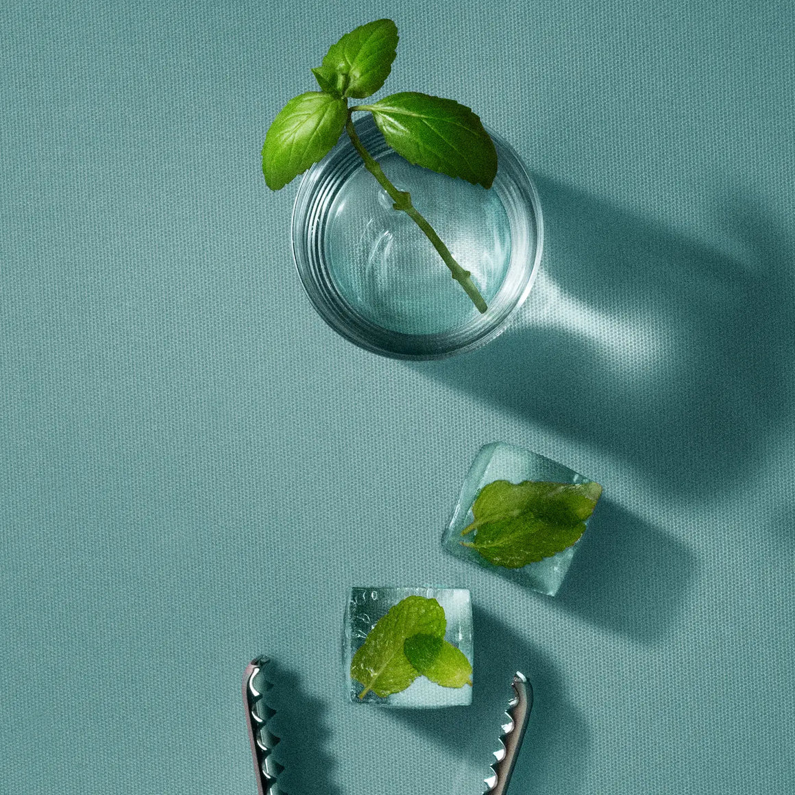 Body + Hair Powder – Basil Mint