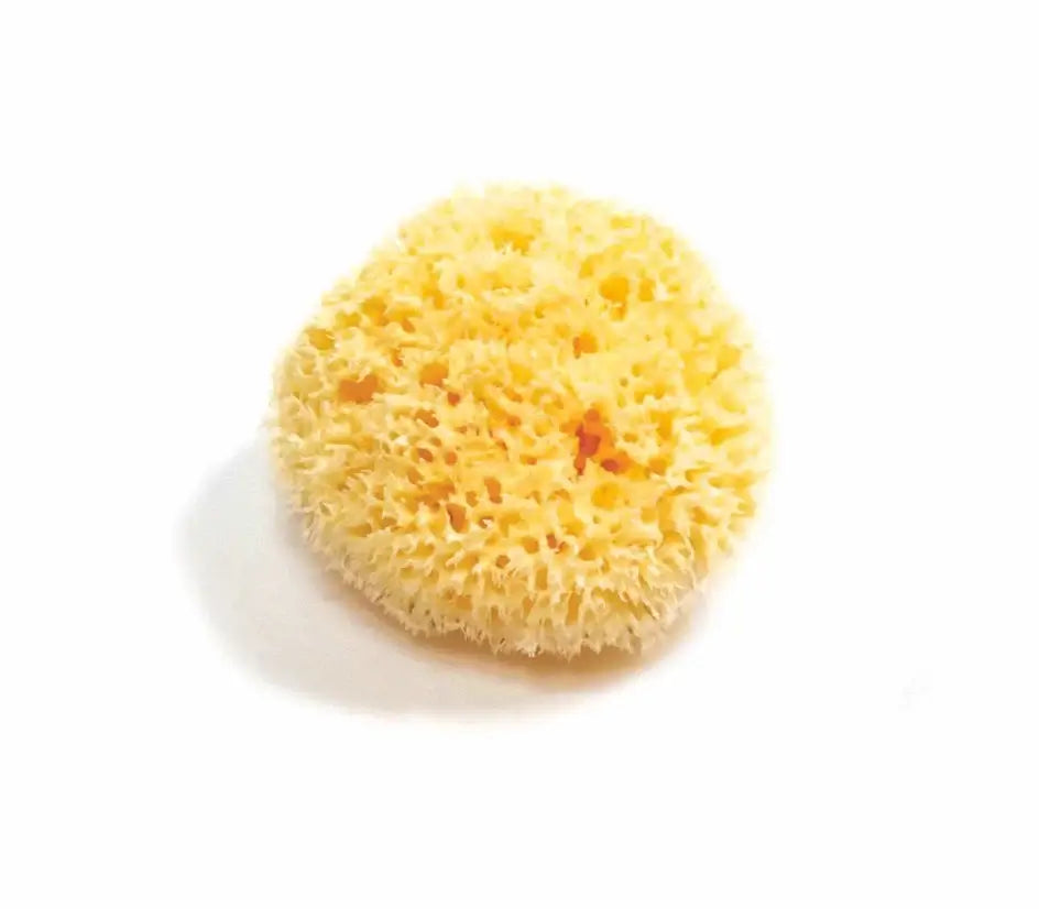 Natural Sea Sponge - Smile Boutiques