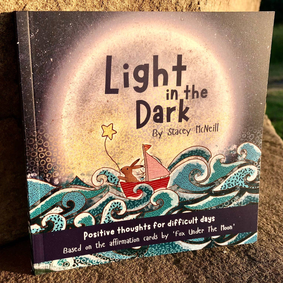 Book titled 'Light in the Dark' by Stacey McNeill on a stone surface with a natural background.