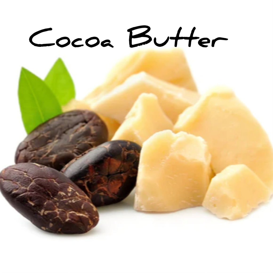 Cacao Anti-Oxydant - Baume à Lèvres 8g