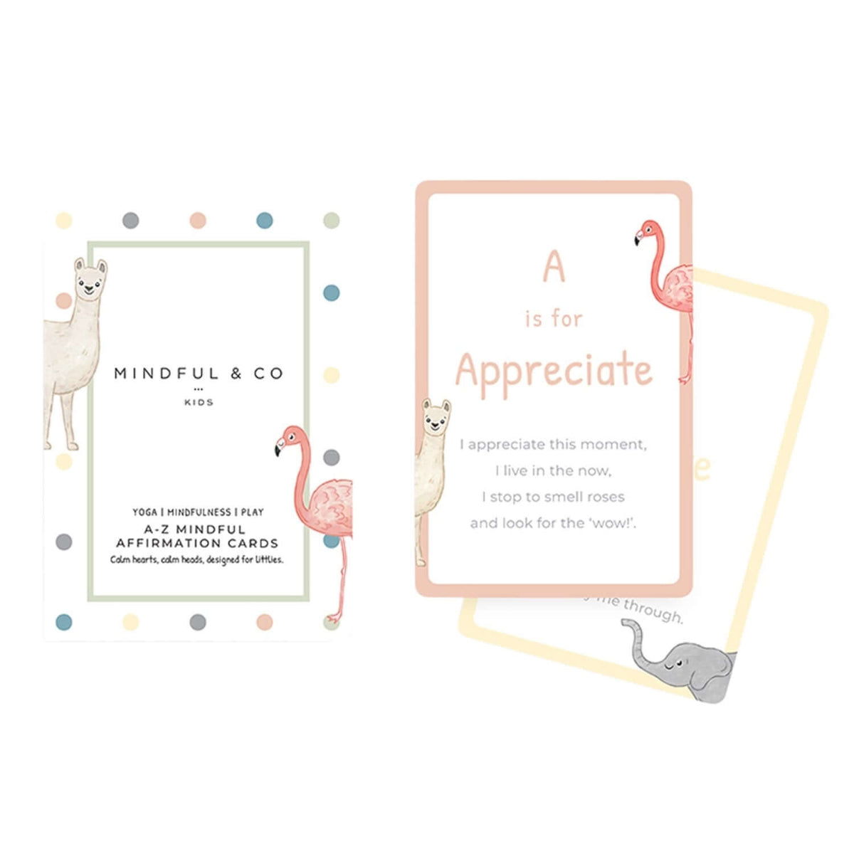 Set of educational cards with animals and text on a white background