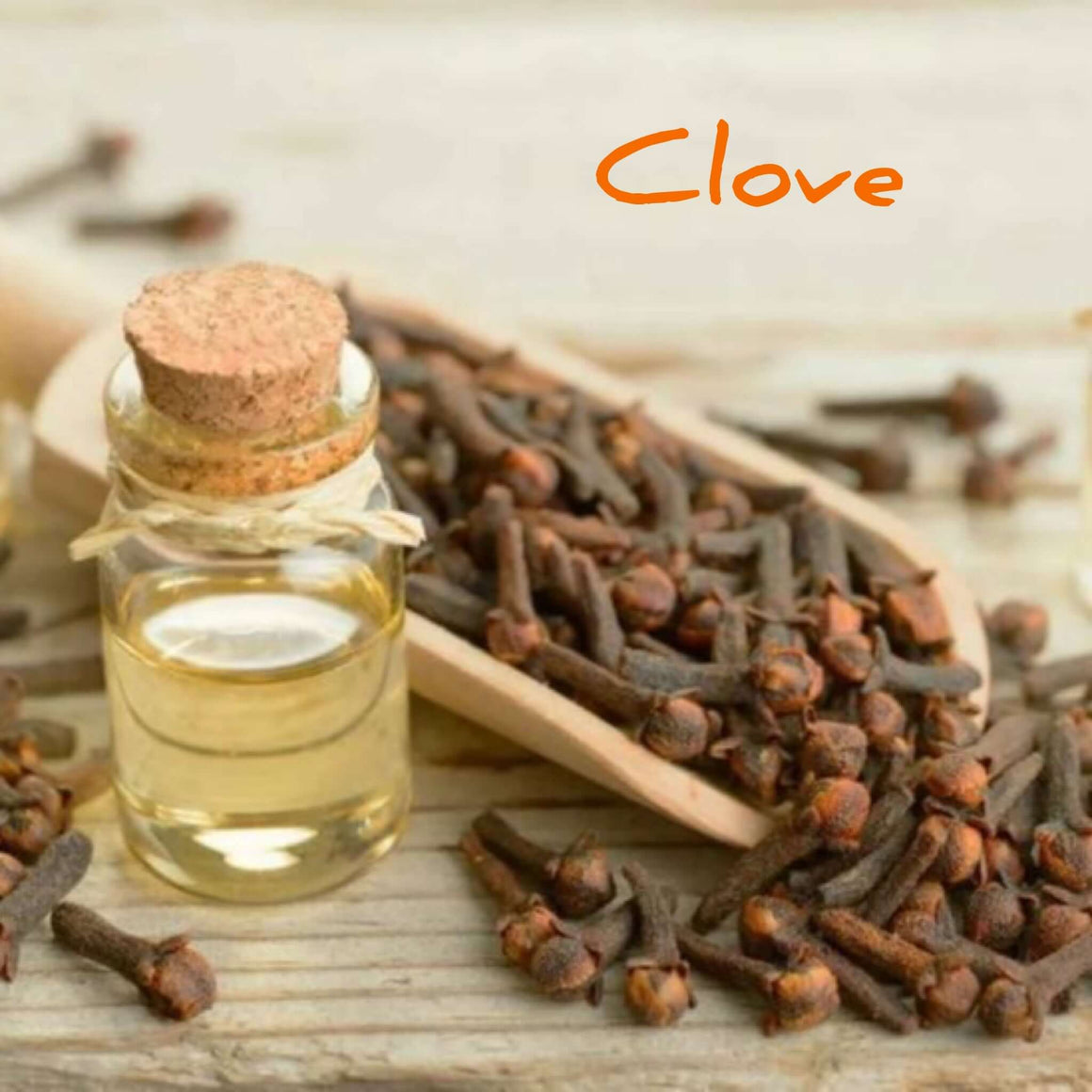 Anise & Clove Tooth Cleanse 1oz - Fat & The Moon