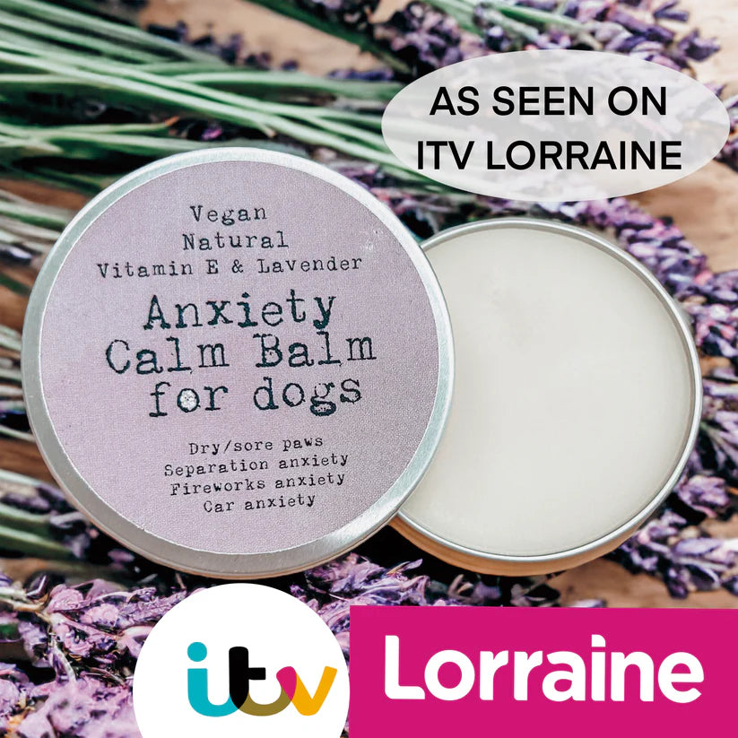 Paw Balm for ANXIOUS dogs, Vegan, Natural, Cruelty Free - Paws Right There as seen on Lorraine on ITV
