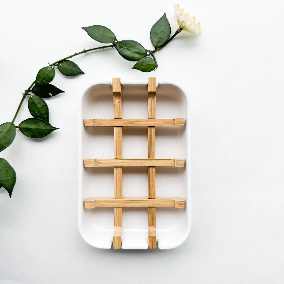 Bamboo Corn Starch Soap Dish - Smile Boutiques