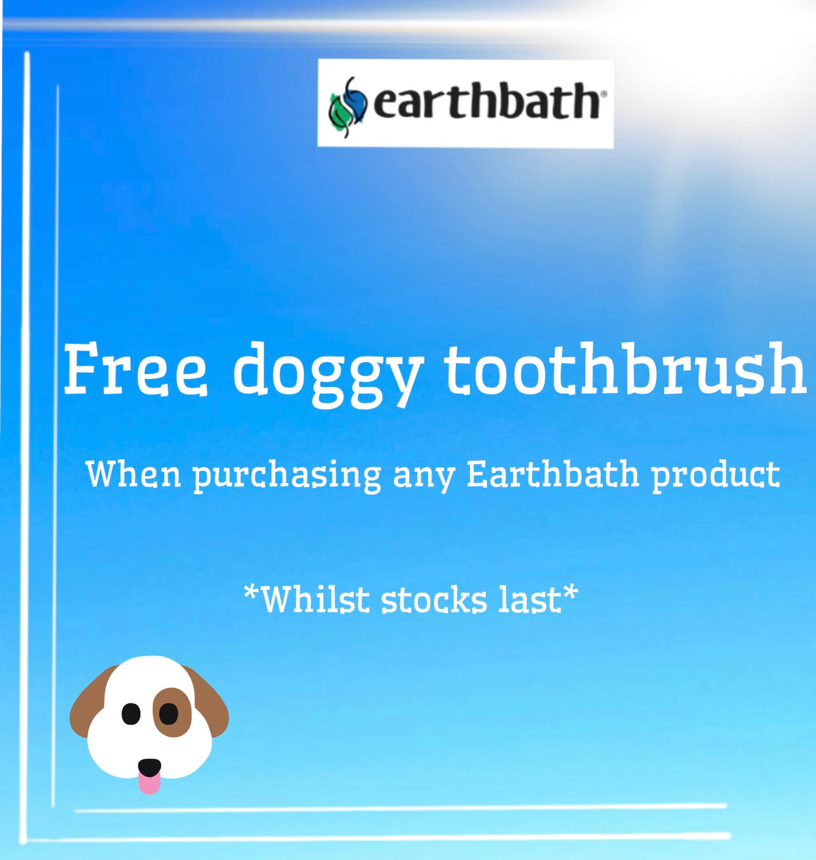 Dog Coat Brightening Shampoo Earthbath - Lavender 472ml