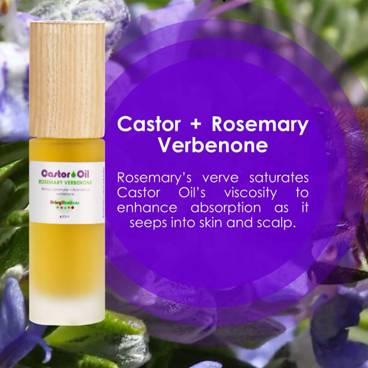 Castor Oil + Rosemary Verbenone - Living Libations