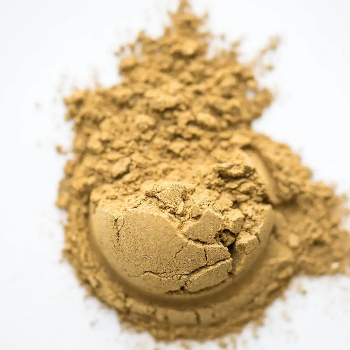 Detox Plant & Mushroom Powder For the Elimination of Toxins