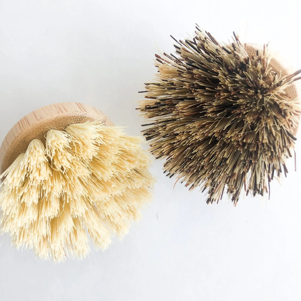 Two natural brushes with wooden handles on a light gray background