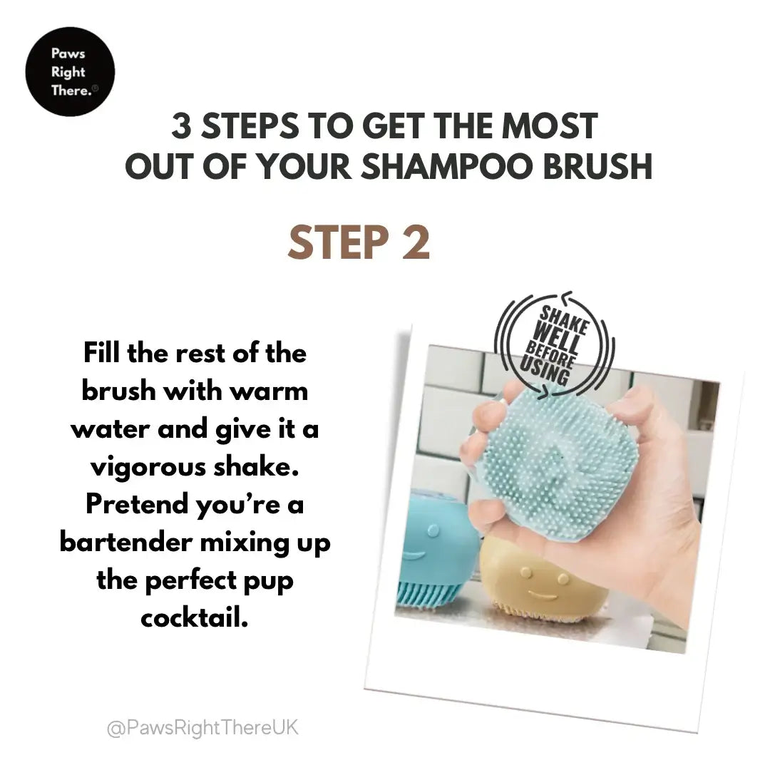 Dog Shampoo Brush – Paws Right There | Bath & Grooming Tool