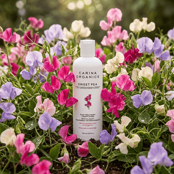 Sweet Pea Deep Treatment Conditioner 250ml - Carina Organics