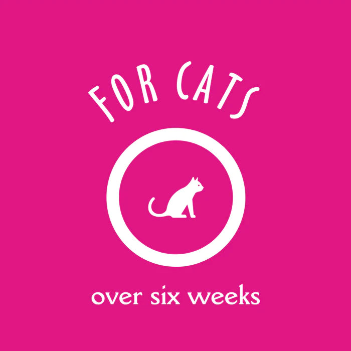 Earthbath online cat shampoo