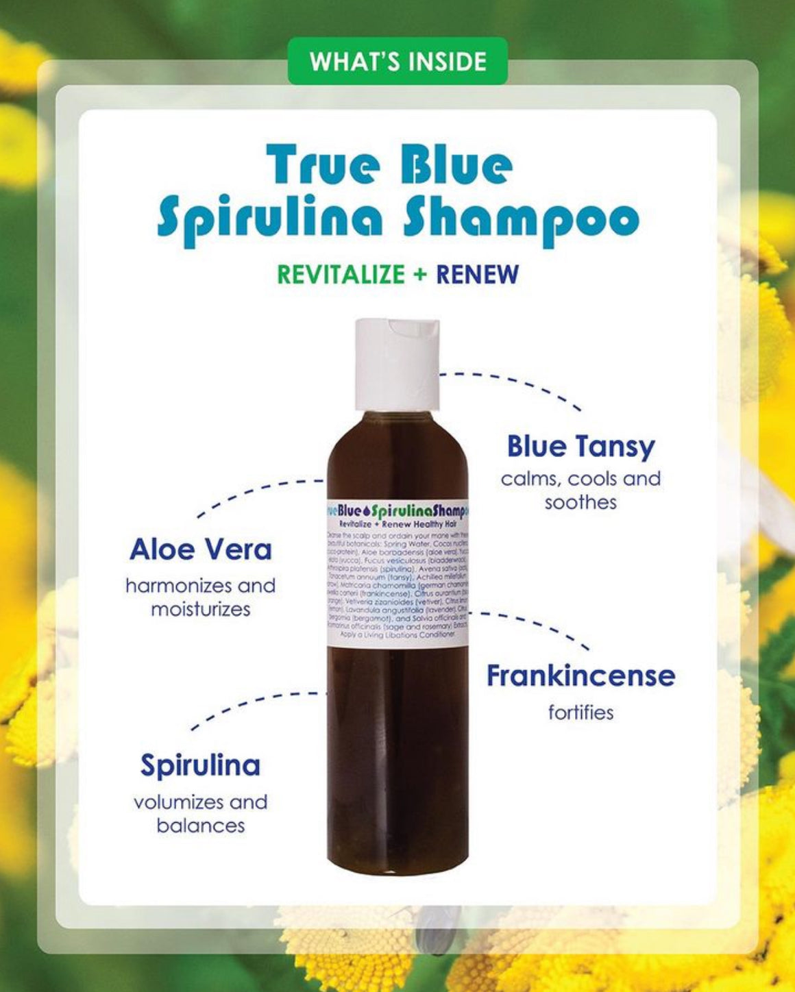 True Blue Spirulina Shampoo