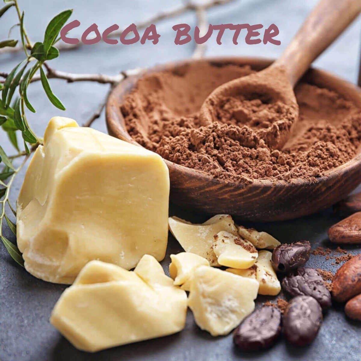 Growing Belly Balm 2oz/60ml - Fat & The Moon