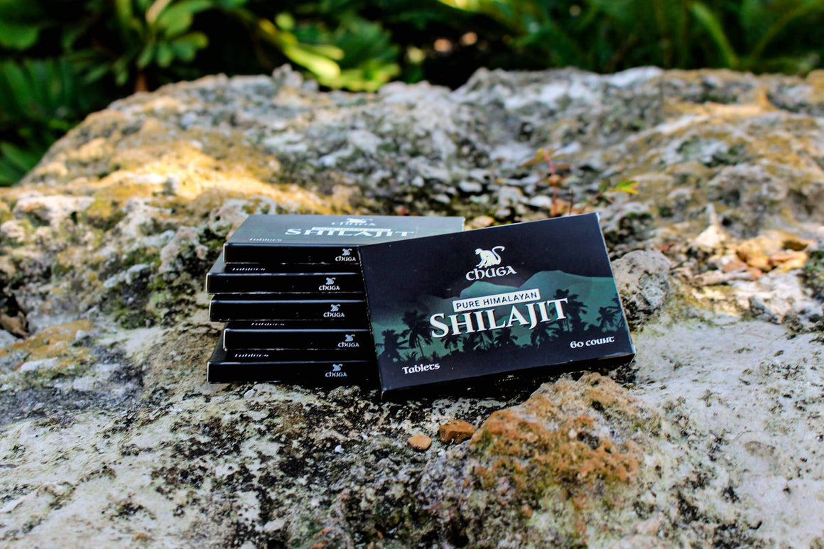 Himalayan Shilajit tablets supplement displayed on a rocky surface, showcasing convenient packaging outdoors.