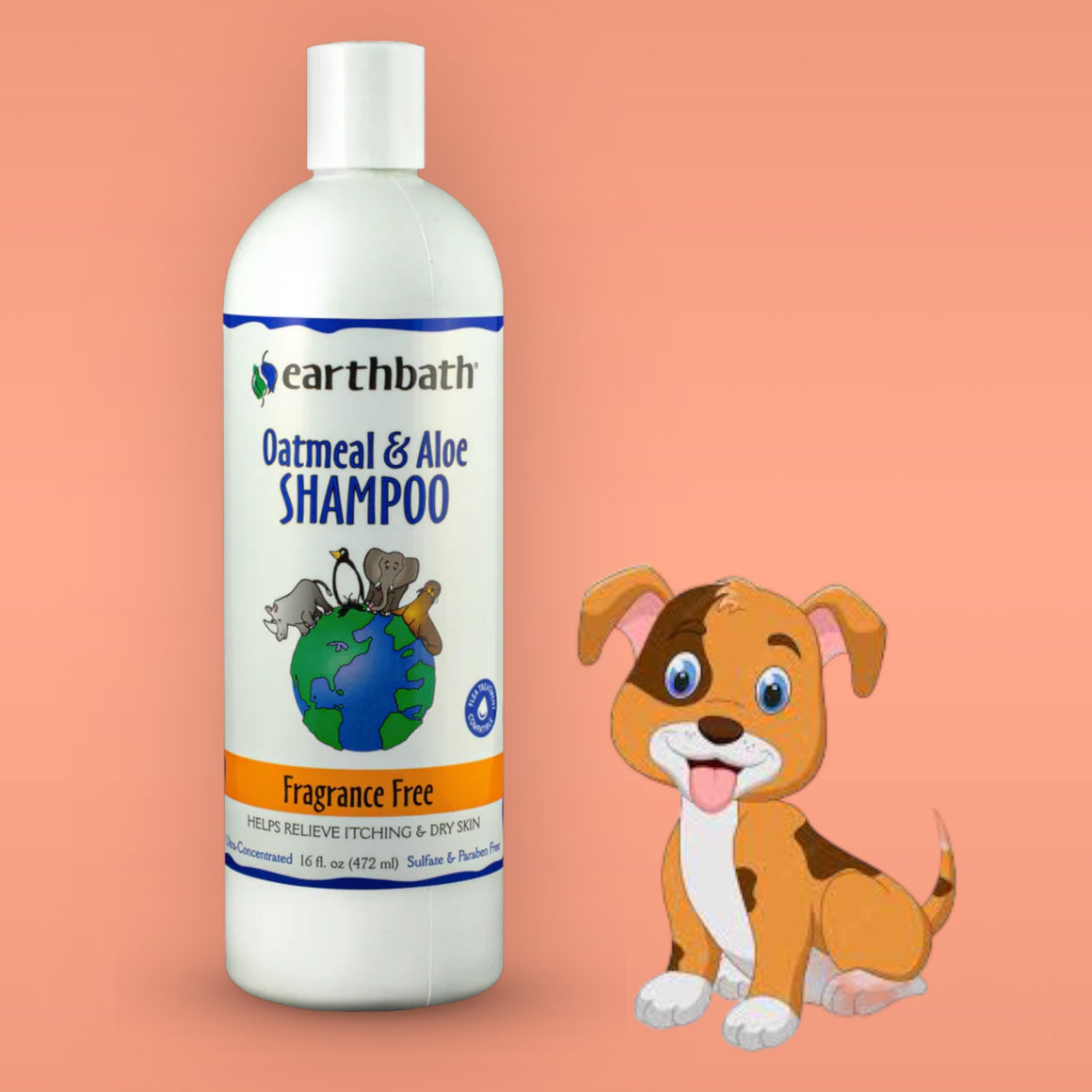 Dog Shampoo Earthbath Itch Relief Fragrance Free Oatmeal & Aloe  - 472ml