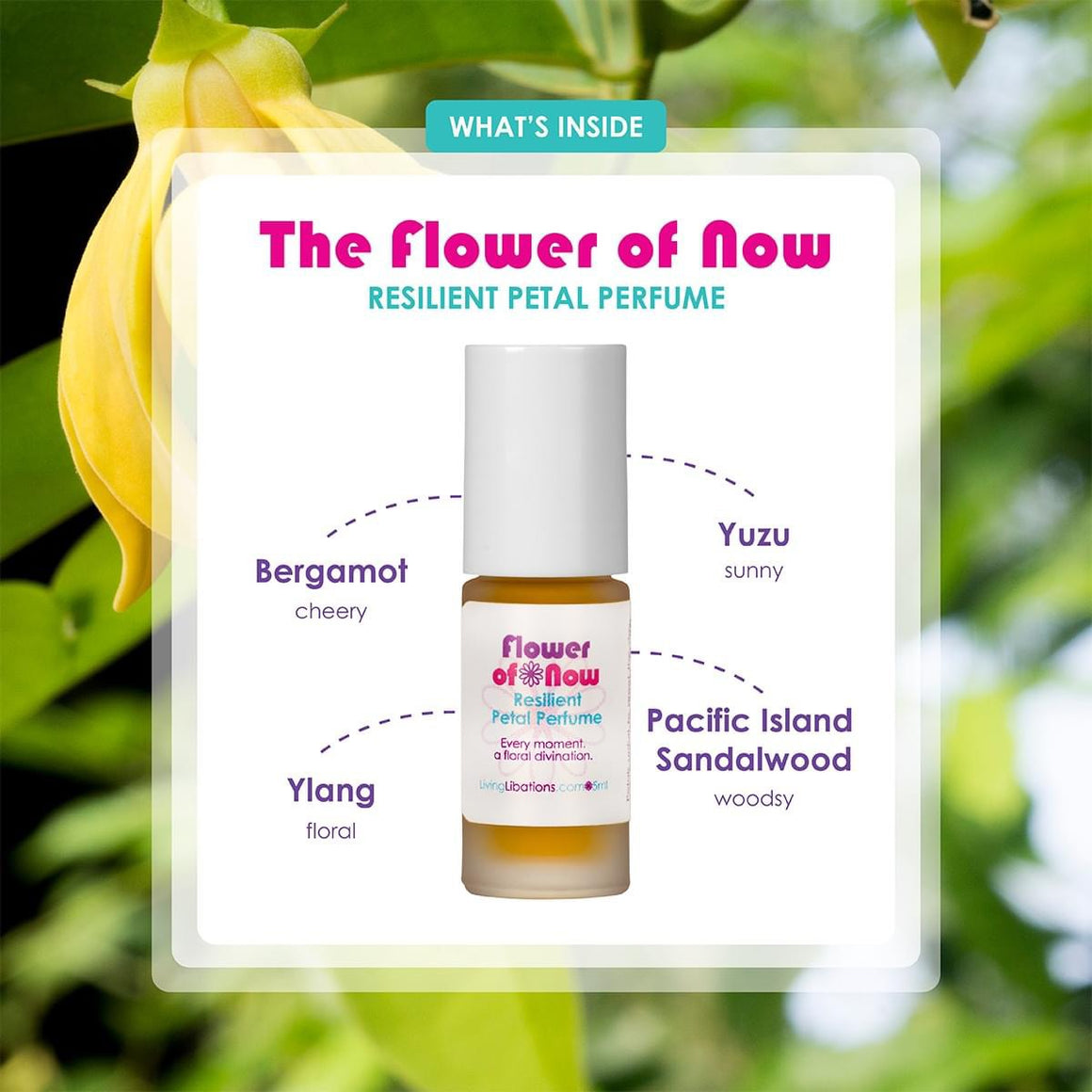 The Flower of Now Resilient Petal Perfume 5ml - Living Libations