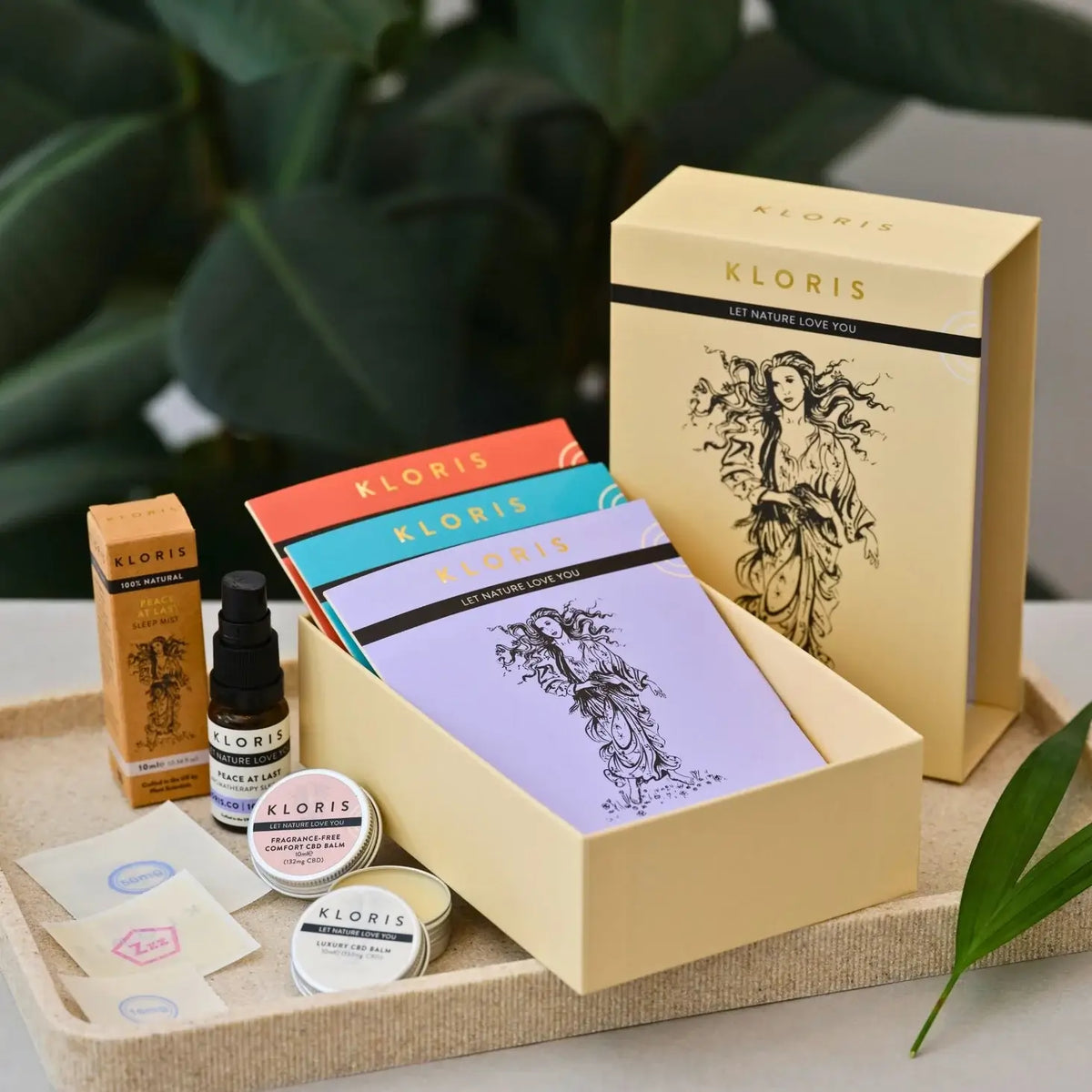 Kloris skincare products and packaging on a wooden tray with green leaves in the background