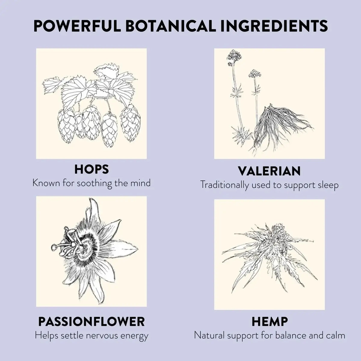 Illustrations of hops, valerian, passionflower, and hemp with descriptions on a light purple background.
