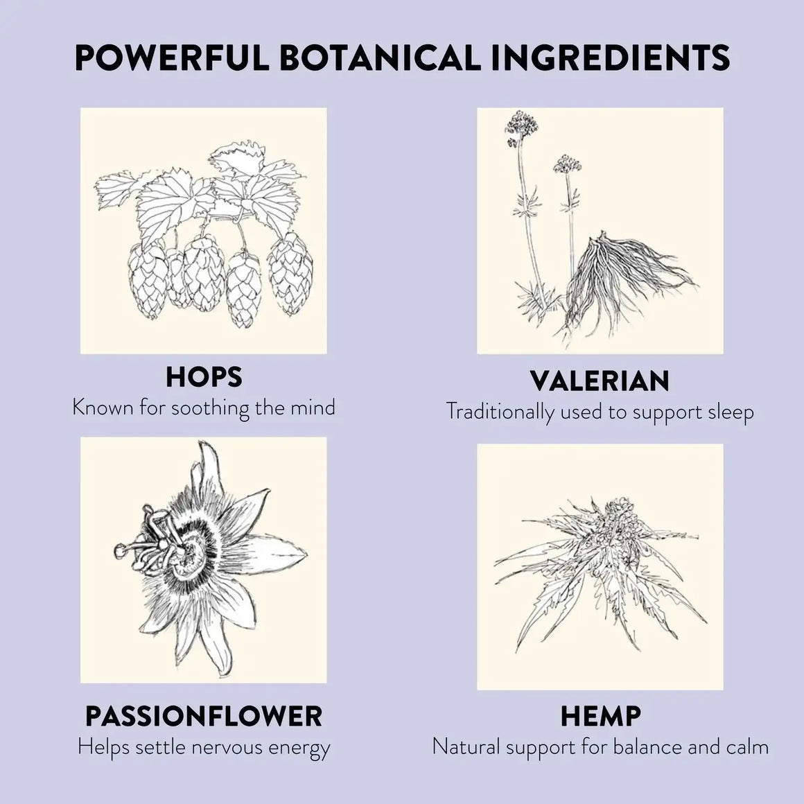 KLORIS Natural Sleep Patches – CBD, CBG, Valerian & Lavender
