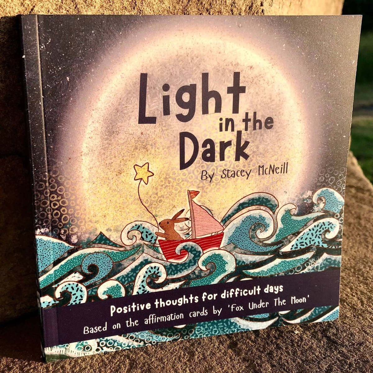 Book titled 'Light in the Dark' by Stacey McNeill on a stone surface with a natural background.