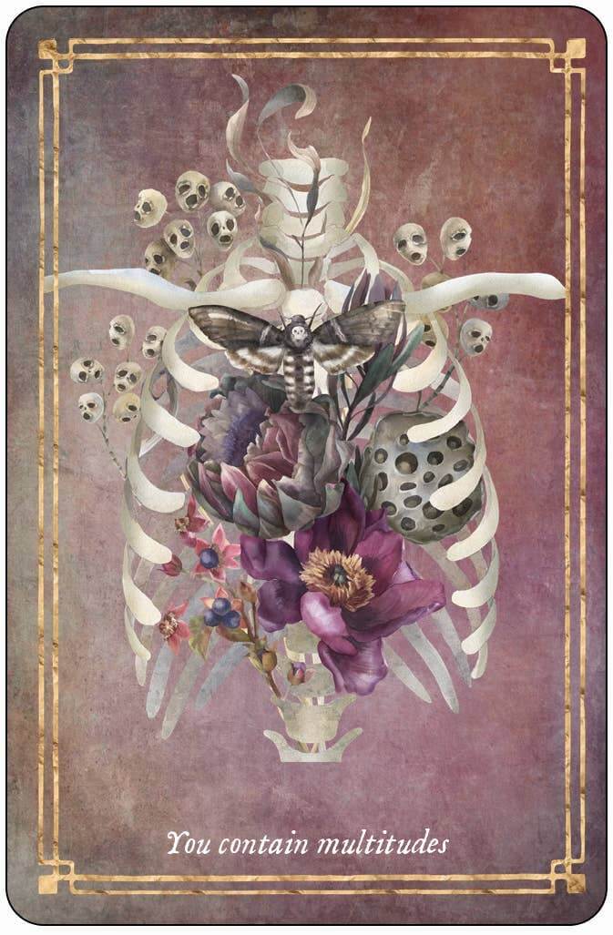 Memento Mori Cards
