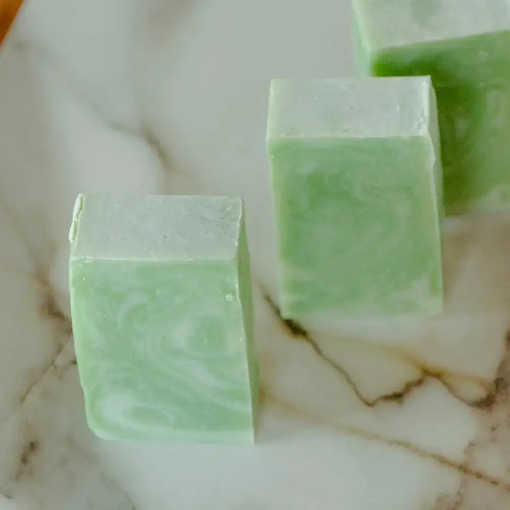 Moisturizing Vegan Body Wash - Aloe & Coconut Milk - No Tox Life