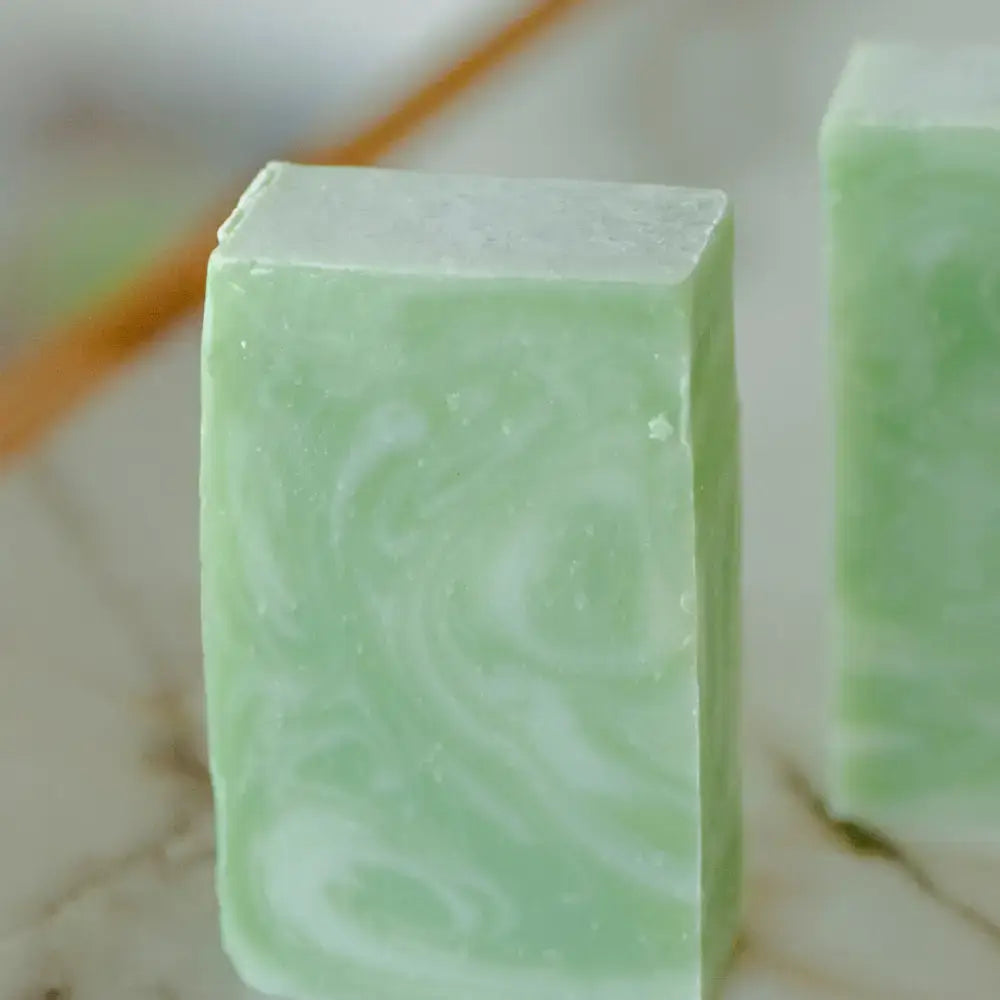 Moisturizing Vegan Body Wash - Aloe & Coconut Milk - No Tox Life