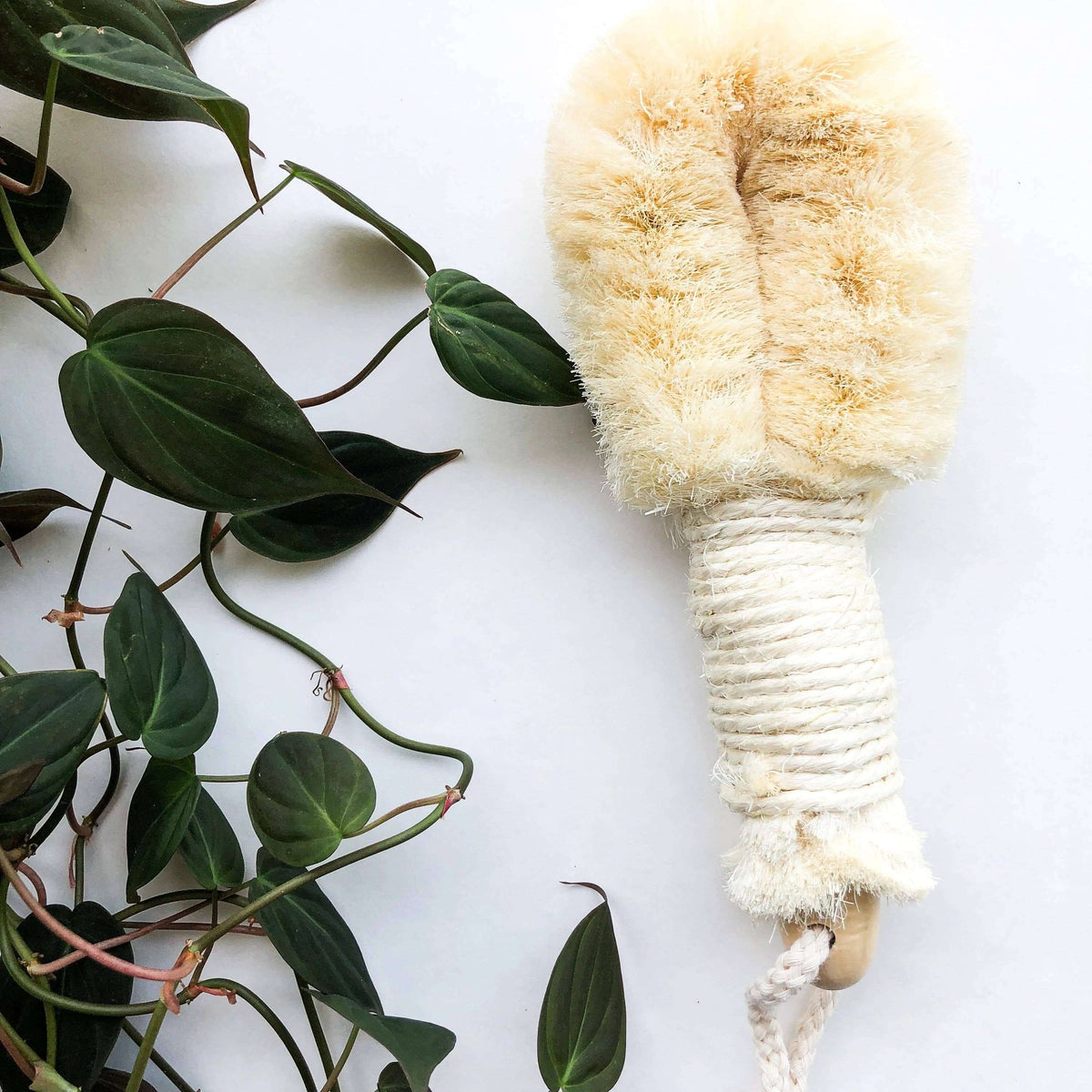 Natural fiber brush with green leaves on a white background