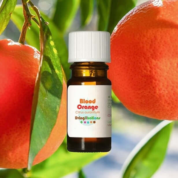 Orange, Blood Essential Oil - Living Libations