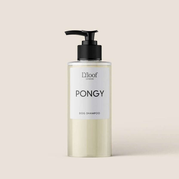 PONGY | Orange & May Change Shampoo – Natural Dog Shampoo - Live in the ...
