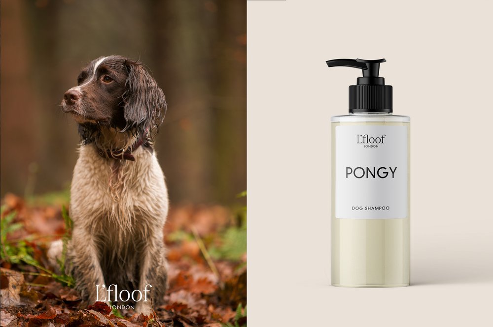 PONGY | Orange & May Change Shampoo