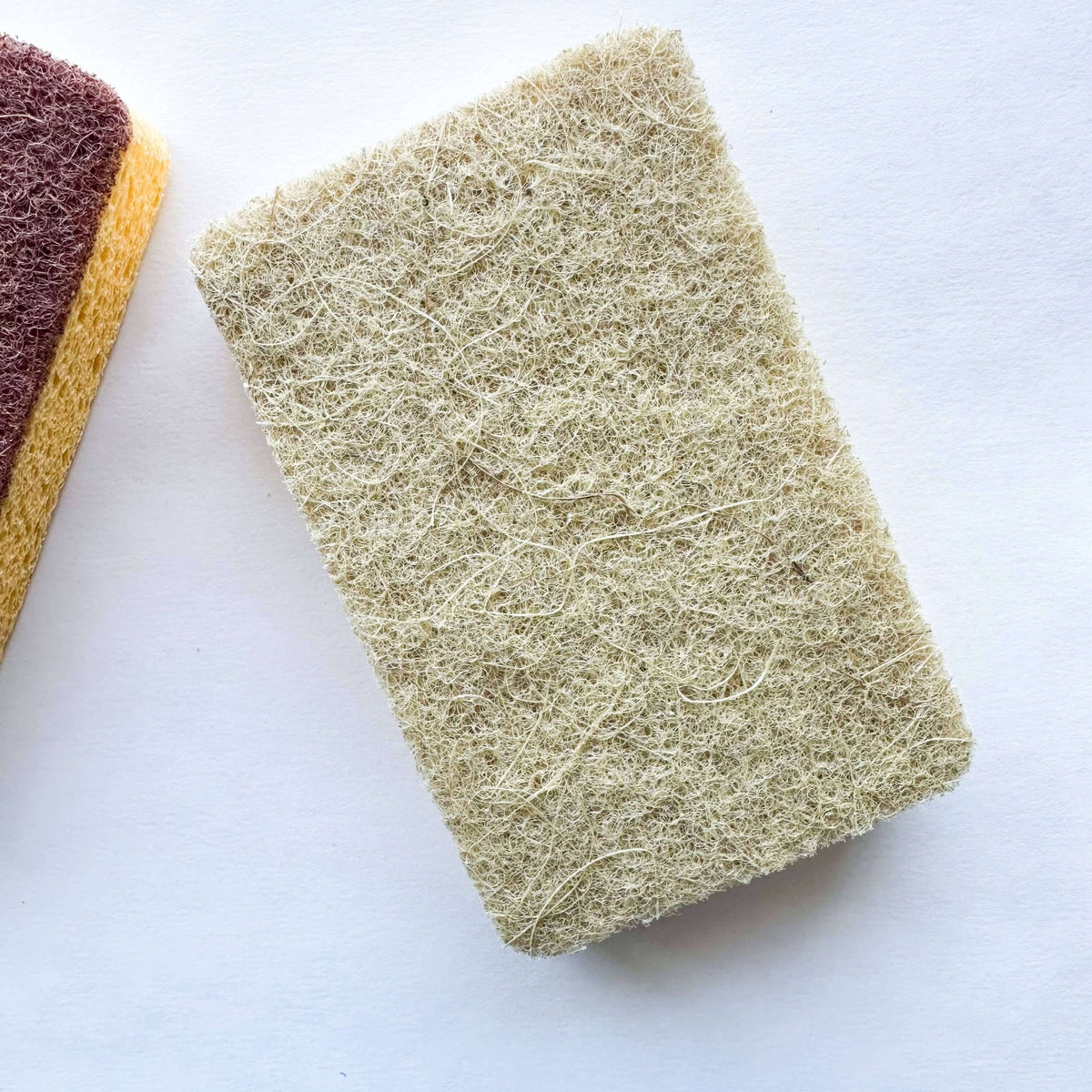 Two scrubbing sponges on a white background