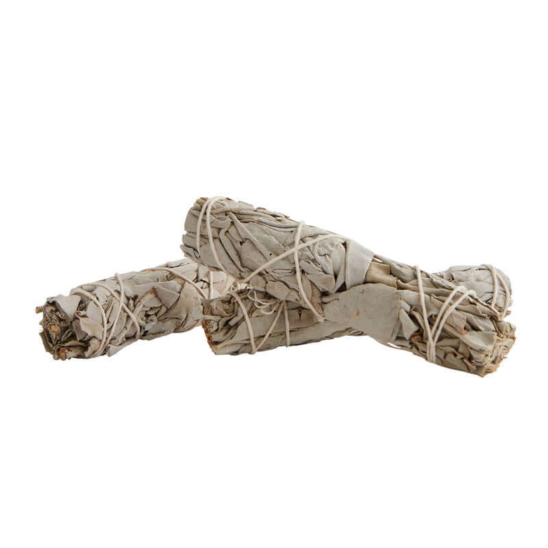 Premium Californian White Sage Smudge Stick – Sustainably Sourced