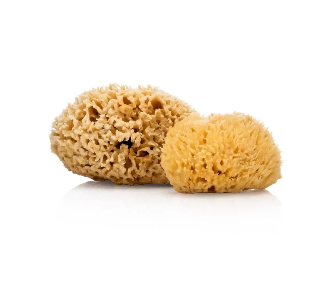 Natural Sea Sponge - Smile Boutiques